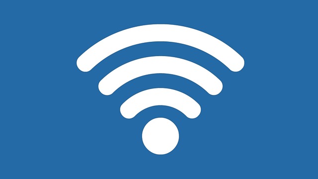 Digitale spor: Hvordan online information former forbrugernes butiksvalg